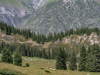 Mountains / ***