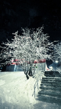 December evening / ***