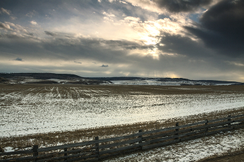 Einheimische Freiflächen / ***