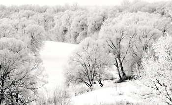 Die Schneewehe / ***