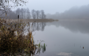 In den goldenen Herbst / ***