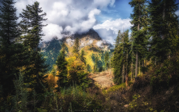 Morning in the mountains / ***