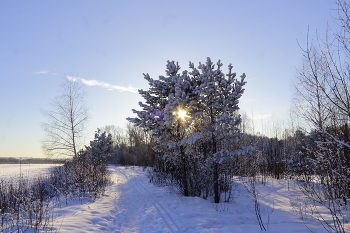 Freezing day / ***
