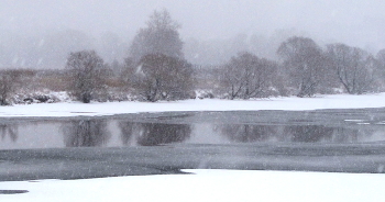 Winter / ***