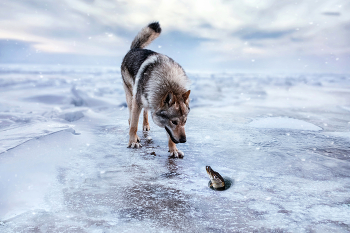  / photoshopmanipulation