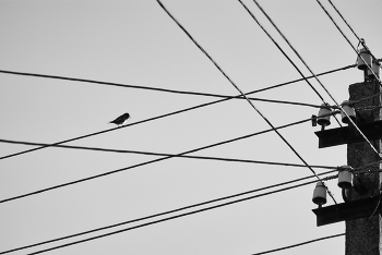 offline / ***