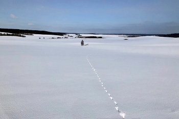 Footprints in the snow / ***