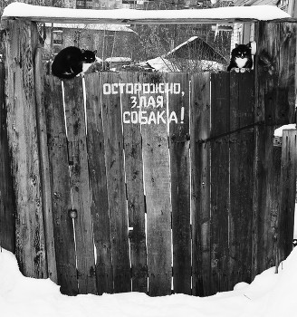 Vorsicht, bissiger Hund! / ***