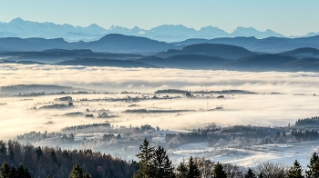 Nebel im Tal / blick ins vernebelte rheintal