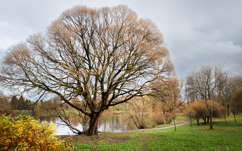 Im Herbst des Parks ... / ***