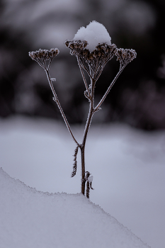 December... / ***
