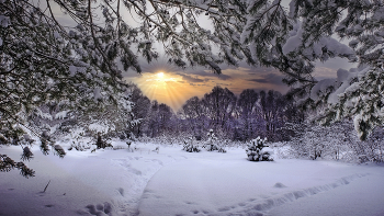 winter / ***