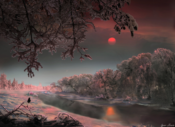 December morning / ***