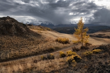 Altai autumn / ***