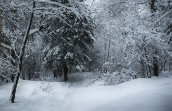 mit Schnee bedeckt ... / ***