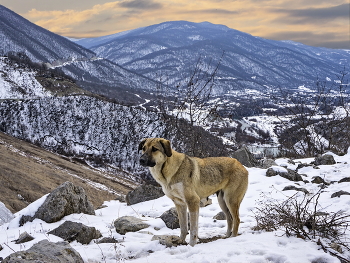 irgendwo in den Bergen / ***
