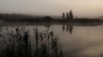 Fog Island / ***
