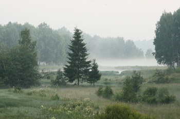 Nebel zerstreut / ***