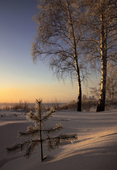 Happy New Year !!! / .....