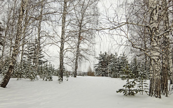 Winter / ***