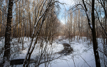 In Winter Park ... / ***