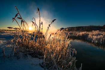 Winter / ***