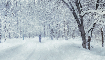 Snow / ***