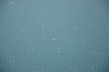 Meer / ***