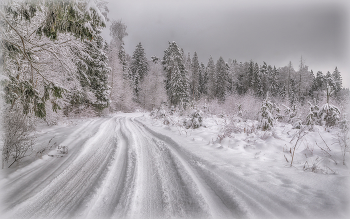 Winter road / ***