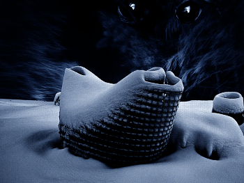 Christmas story / ***