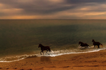 Evening at Sea / ***