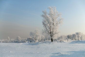 Severe cold / ***