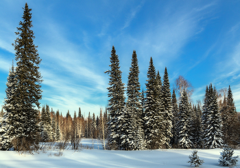 winter / ***