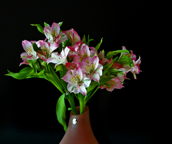 Winter-Bouquet / ***