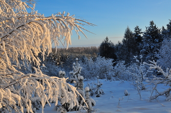 Winter / ***