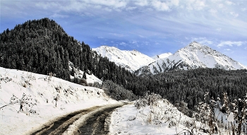 Bergstraße / ***