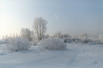 Freeze / ***