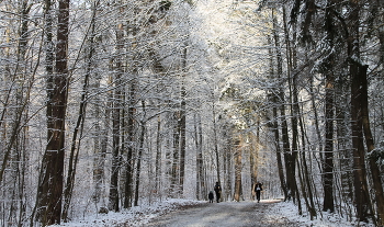 Walk / ***