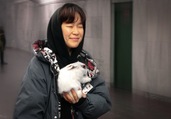 Year of Rabbit / ***