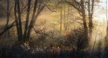 Autumn Sunrise / ***