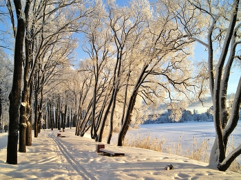 Frosty / ***