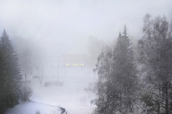 blizzard / ***