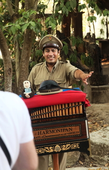 Verpassen Sie nicht ... / ***