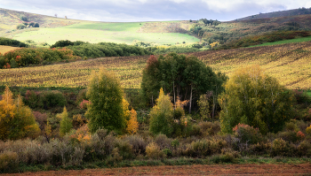 Autumn etude / ***