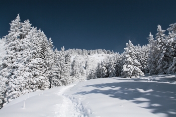 trail / ***