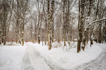 Im Winter Park ... / ***