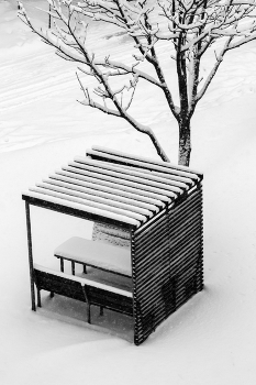 Just winter ... / ***
