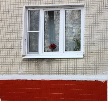 Bouquet / ...