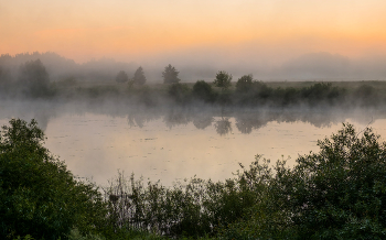 Summer morning. / ***