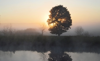 At sunrise / ***